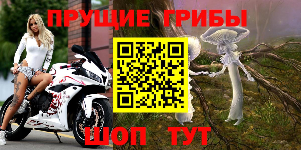 Кыштым  Псилоцибиновые грибы Psilocybe  Вход с VPN 